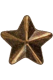 Bronze Star (Gilt)